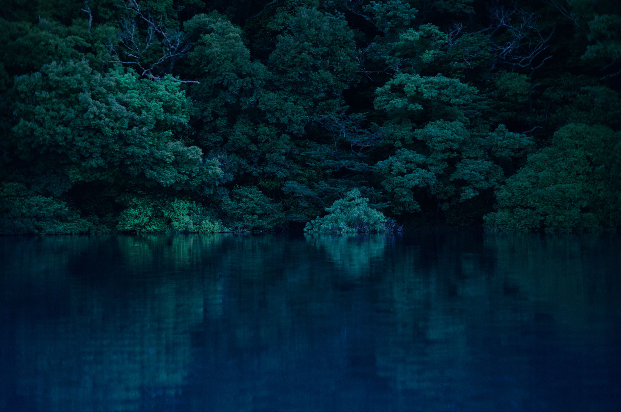 湖の静かな水面と、その湖畔に森が聳える