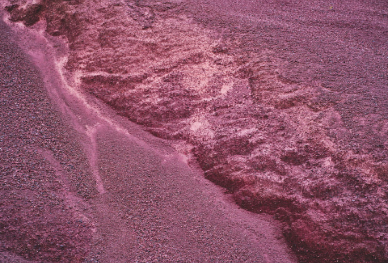 真っ赤な土の表面に、水が通ったような跡が残っている